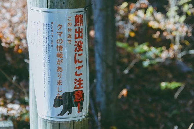 クマ出没注意