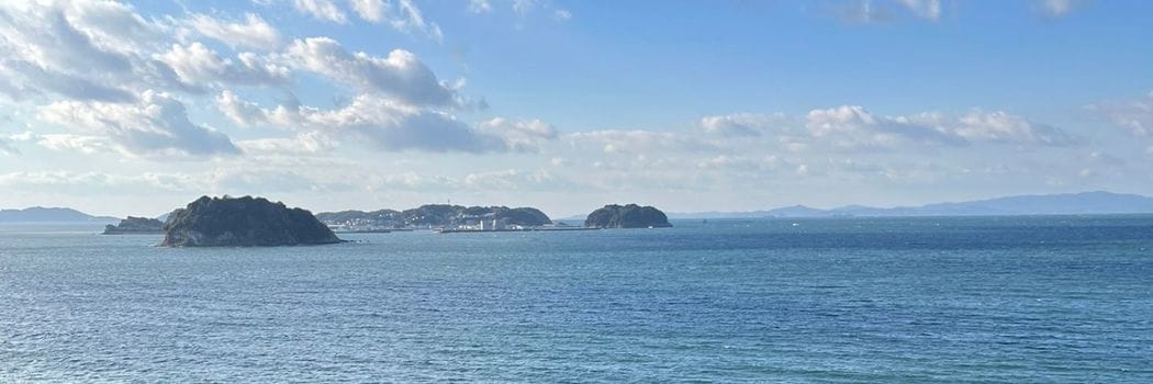 サメに襲われ→｢全員が死亡｣の“異常事態”に…愛知県の“連続人食いザメ事件”で専門家が語った“意外すぎる仮説”