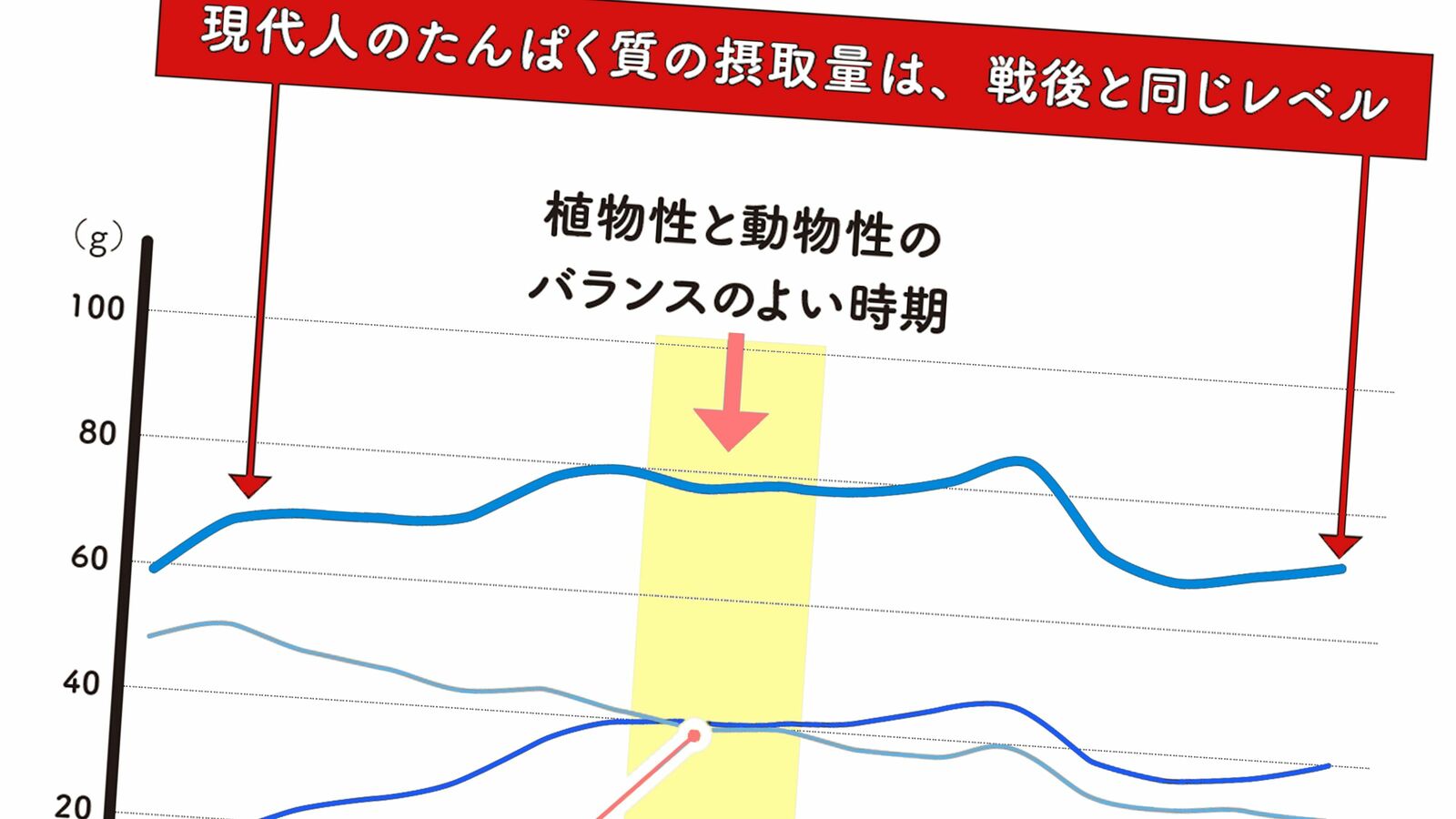 だから日本は世界一の長寿国になった…管理栄養士が｢とりすぎ｣くらいが丁度いいと話す"栄養素の種類" 現代人の摂取量は戦後レベルに落ちている