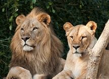 世の中に男と女がいる「意外すぎる理由」