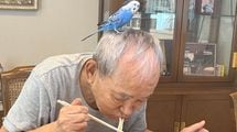 資産18億円･87歳の現役トレーダー"シゲルさん"が豪邸に住まず､ボロボロの帽子を愛用し続けるワケ