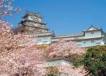 自分が有利になる伝説の流布で演出