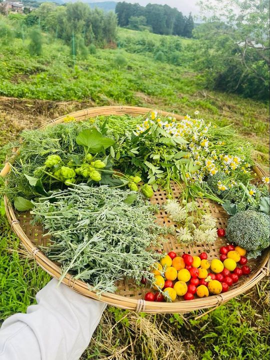 埼玉県ときがわ町にある鹿山さんの畑