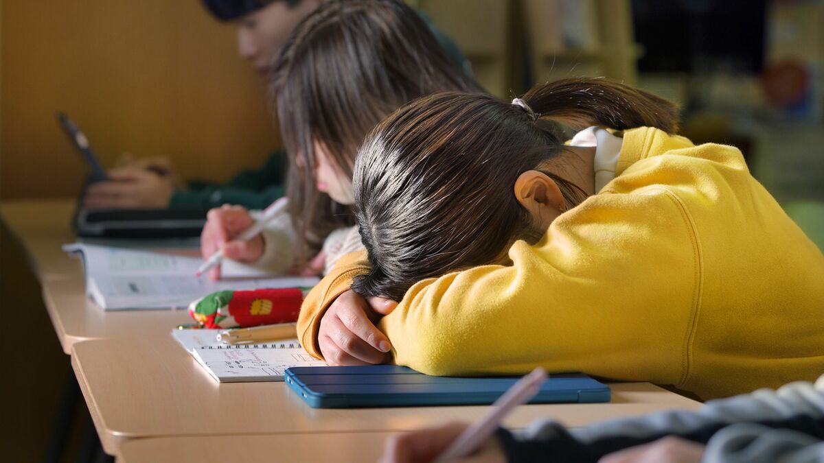 過眠 特発性過眠症のポスターとパンフレット | 過眠症サポートネットワーク