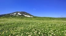 1位は｢北海道東川町｣2位は｢長野県原村｣…大規模調査でわかった｢移住者の住みここちがいい街｣の共通点