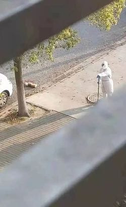 防護服を着た人物のそばに血を流して倒れている犬がいる