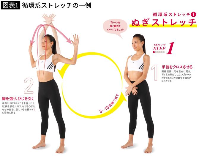 【図表1】循環系ストレッチの一例