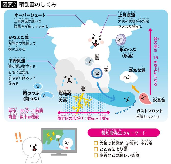 【図表2】積乱雲のしくみ