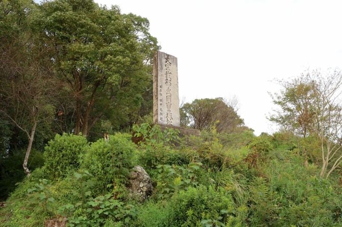 岡豊城