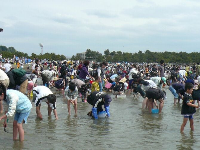潮干狩りで賑わう横浜市の海の公園