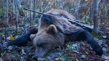 鉄棒で突き回し､最後は頭を銃で一撃…腹を割られ左前足をもがれた"クマの死体"が物語る｢人間の恐ろしい欲望｣【2026年5月BEST】