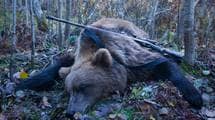 鉄棒で突き回し､最後は頭を銃で一撃…腹を割られ左前足をもがれた"クマの死体"が物語る｢人間の恐ろしい欲望｣
