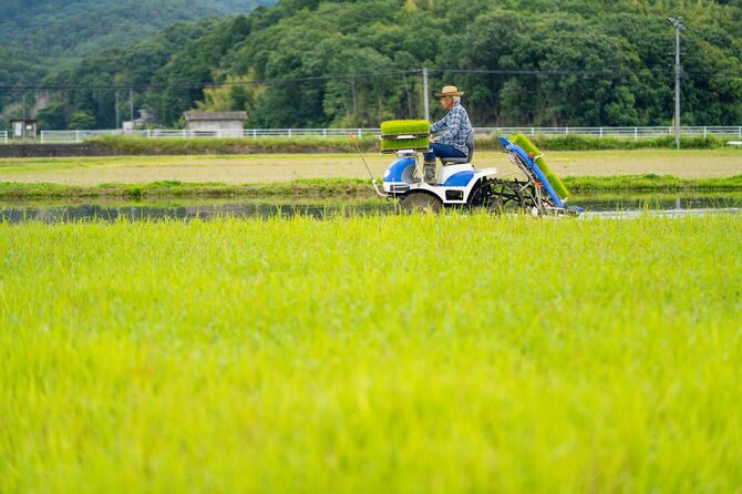 田植え機で田植え中のシニア男性