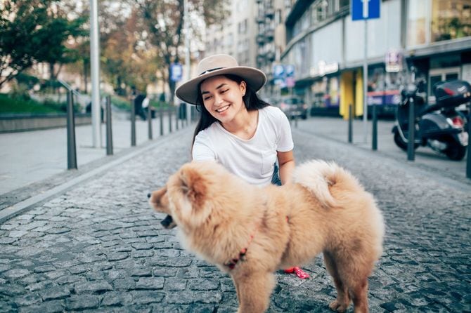 街の通りでしゃがんで犬を撫でる女性
