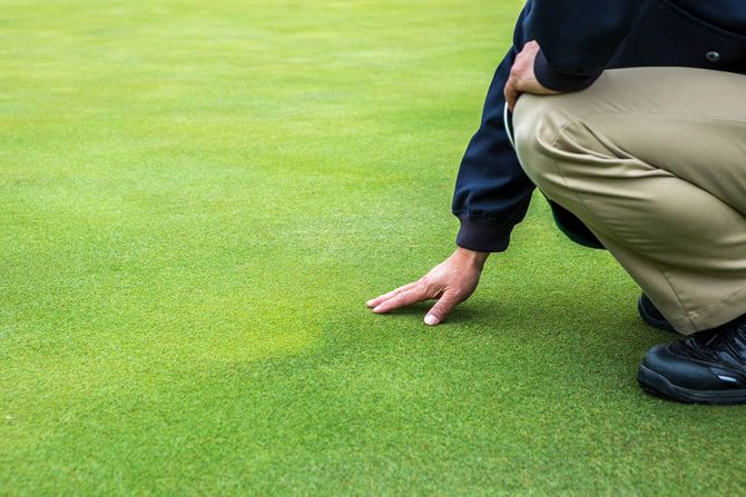 グリーンを触る阿佐比一さん
