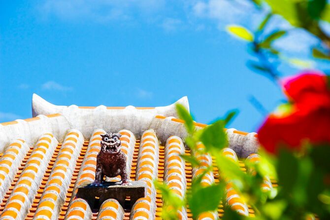 シーサーとハイビスカス