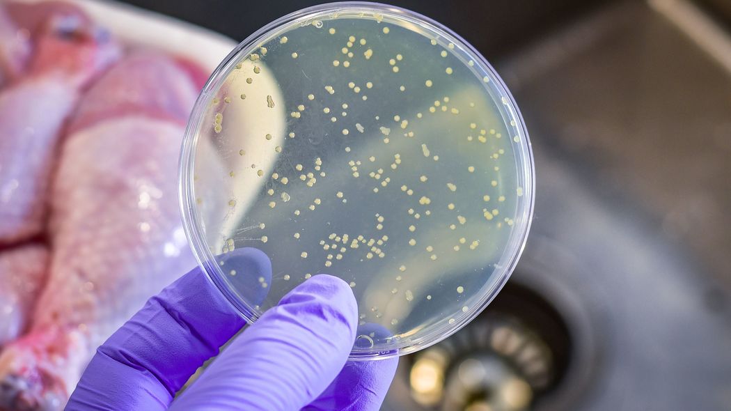 ｢腐敗臭と糸引き=食中毒｣ではない…管理栄養士｢見た目と臭いではわからない食中毒の本当の怖さ｣ 夏は食中毒のハイシーズンではなかった