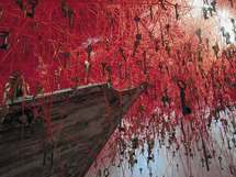 赤い糸と鍵に託した想い。アーティスト・塩田千春インタビュ――「第56 回ヴェネツィア・ビエンナーレ」【2】