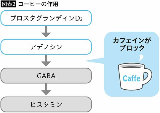 【図表2】コーヒーの作用