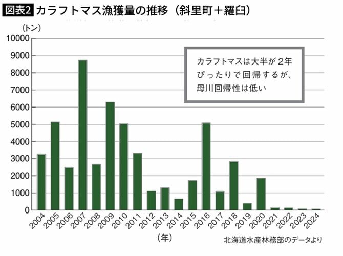 カラフトマス漁獲量の推移（斜里町＋羅臼）