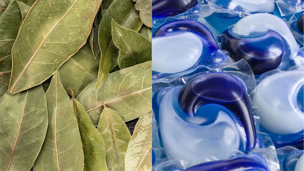 ｢ローリエとジェルボールのせいだ｣FPが見た年1600万円稼いでも貯金できない大ザル家計のバカげた共通点6 無駄に疲れだけがたまり､お金は貯まらない…