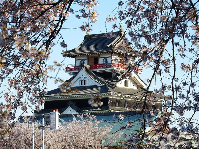 清洲城と桜