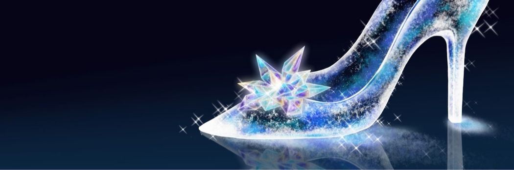 ｢年収3000万60歳バツ2医師｣と｢年収450万40代バツ0会社員｣で迷う40歳ぽっちゃり女性にどちらを勧めた？