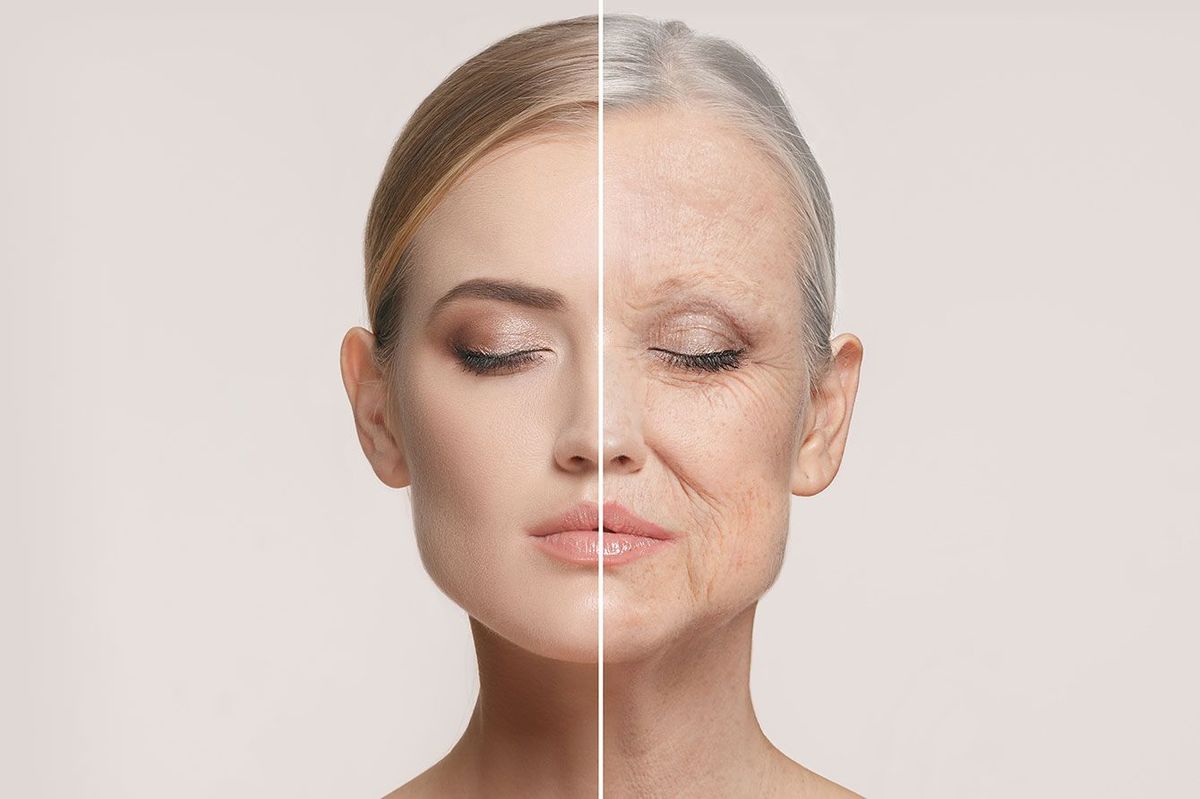 若者の顔と老化の比較