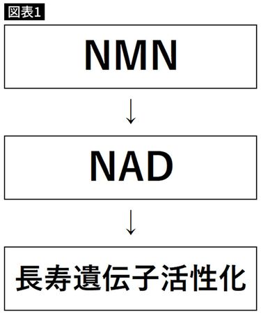 60粒で12万円の若返りサプリ｣内科医が