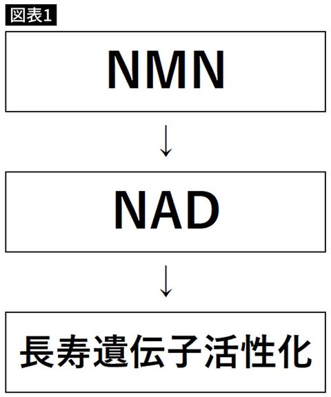 NADの合成経路を単純化した図
