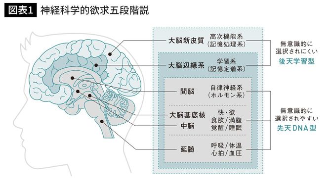 神経科学的欲求五段階説
