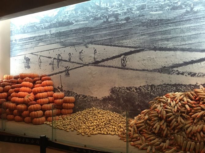 山積みされた、カボチャとジャガイモとトウモコロシの模型。明らかにスペースの無駄づかいである