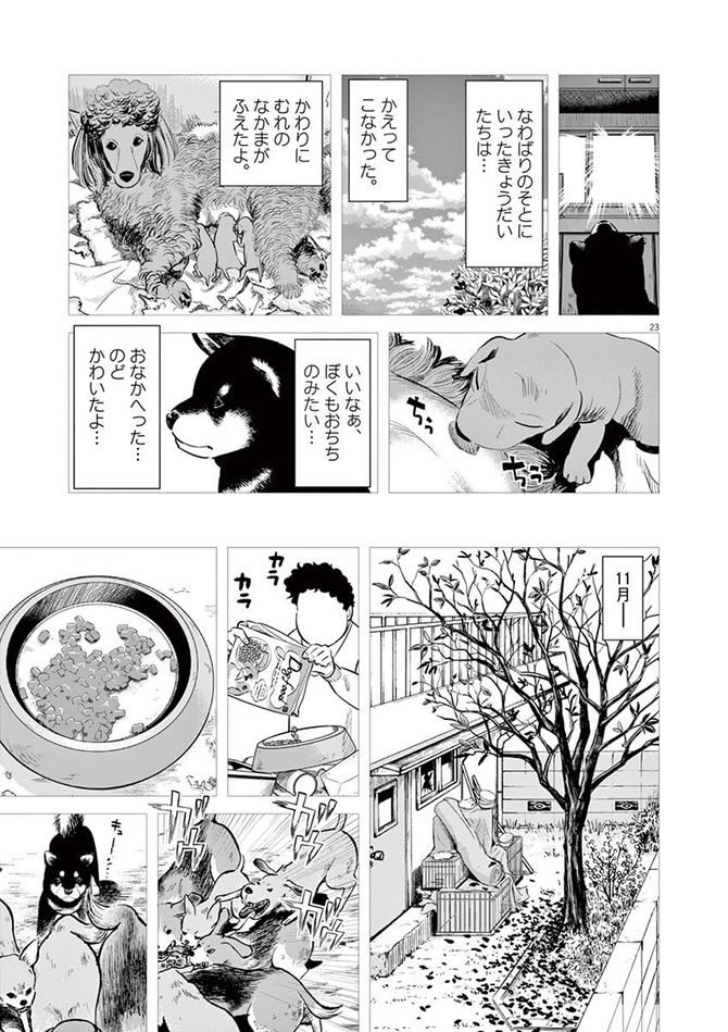 『しっぽの声』c夏緑・ちくやまきよし／小学館