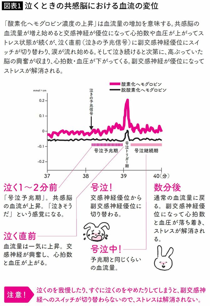 【図表】泣くときの共感脳における血流の変位