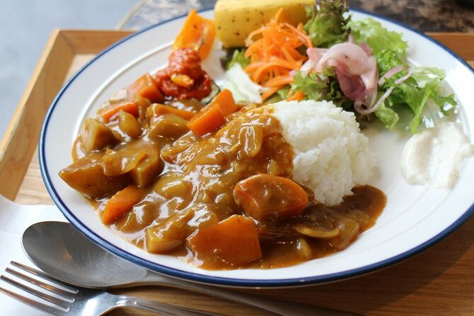 京都の和風カレーライスとサラダ