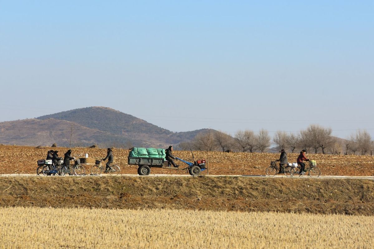 寒い冬の朝、北朝鮮の田舎の畑で働く農民たち