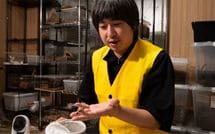 ムカデ1匹で10万円､ダンゴムシ5匹で30万…数百匹の虫をペットとして飼う男性が語る虫たちの意外な市場価値