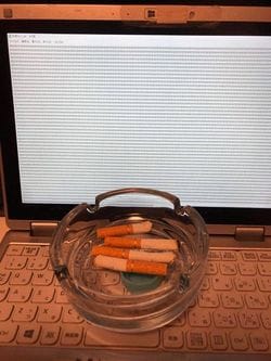 「これで一応働いていることにはなる」ダイス氏の偽装テレワーク法