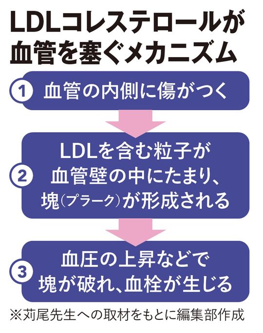 LDLコレステロールが血管を塞ぐメカニズム