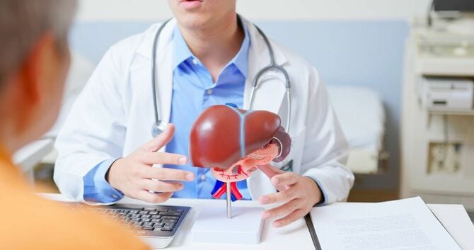 肝臓の模型を用いて説明する医師