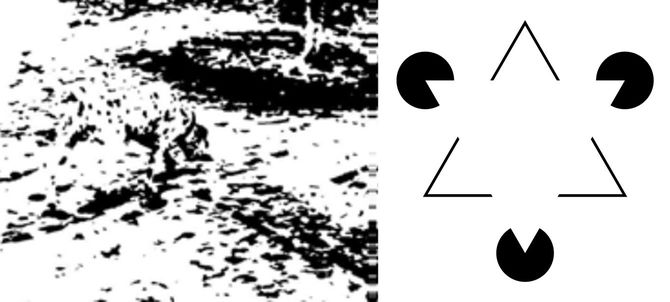 隠されたダルメシアン犬とカニッツァの三角形