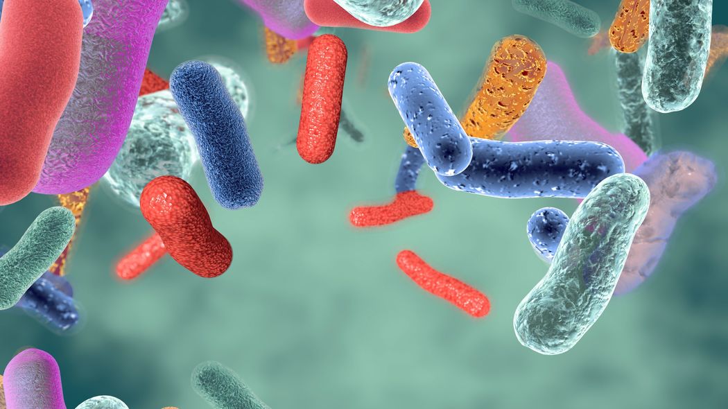 ｢体外受精の妊娠率70% vs. 33% ?｣成功率を左右する子宮内フローラの整え方 妊活前に受けておくと安心の検査とは