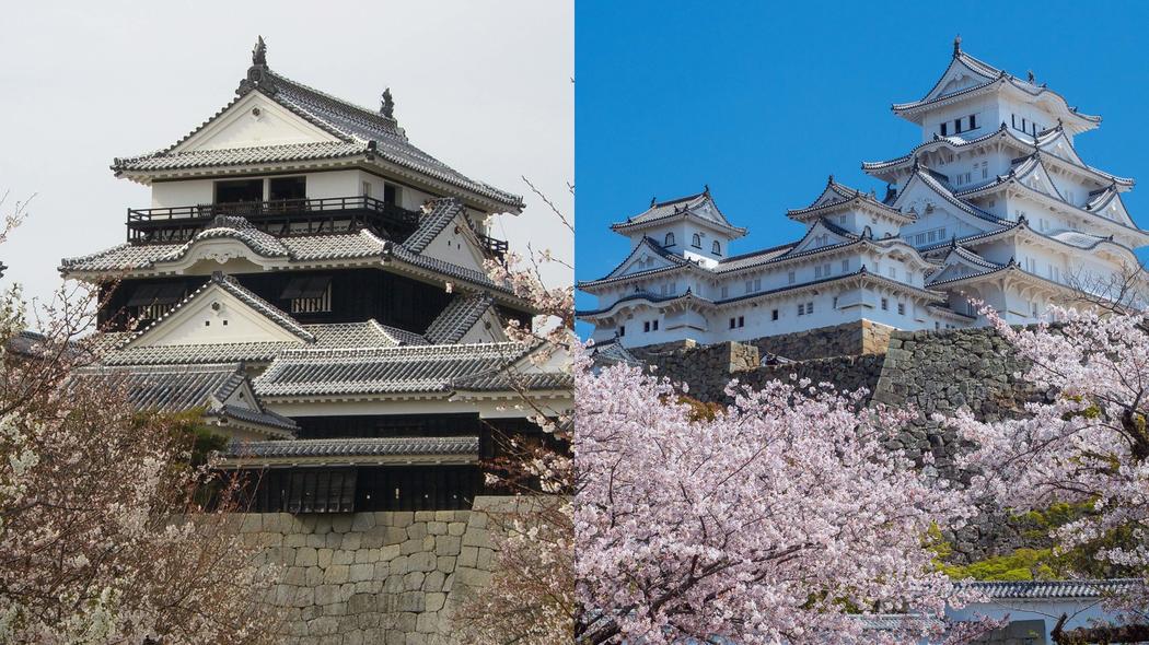 なぜ現存12天守のうち国宝は5つだけなのか…重要文化財の松山城と国宝の姫路城の決定的な違い