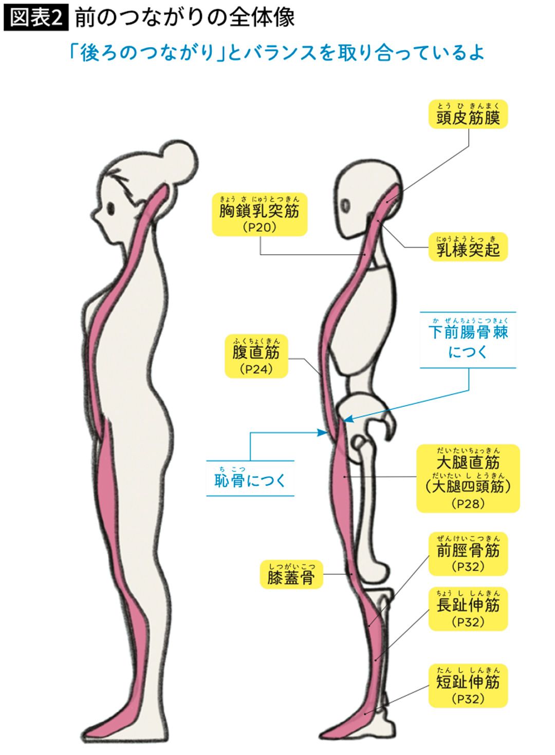 前のつながりの全体像