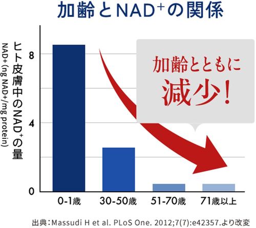 加齢とNAD＋の関係