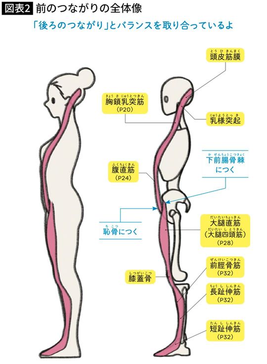 前のつながりの全体像