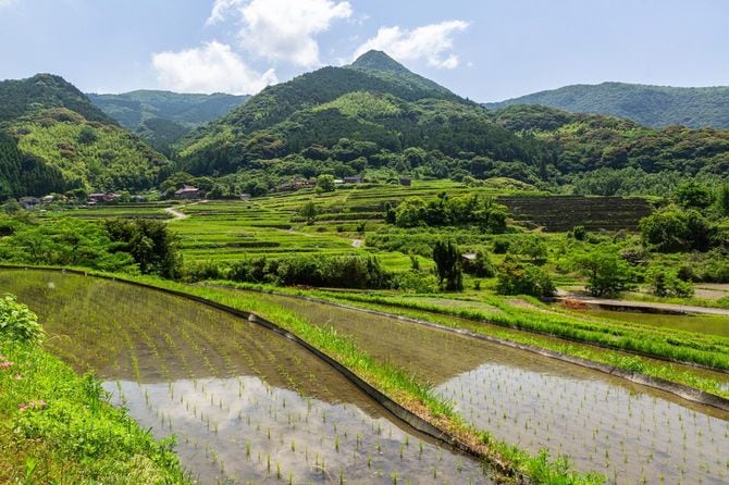 山間部の田園風景