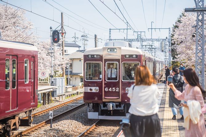 桜を背景に、ゆっくりと到着する列車の写真を撮るために集まった人々
