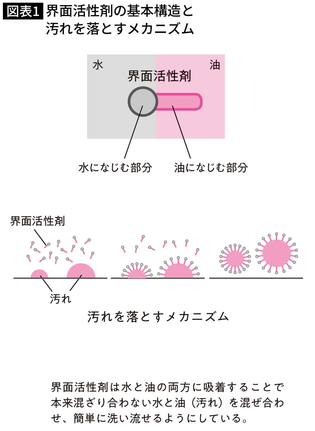 界面活性剤の基本構造と汚れを落とすメカニズム