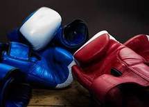 メイウェザー×パッキャオで動いた巨額、600億円の「出どころ」